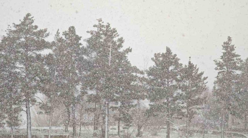 Aşkale nisan ayında kışı yaşıyor