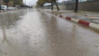 Erciş’te yağmur yağışı etkili oldu