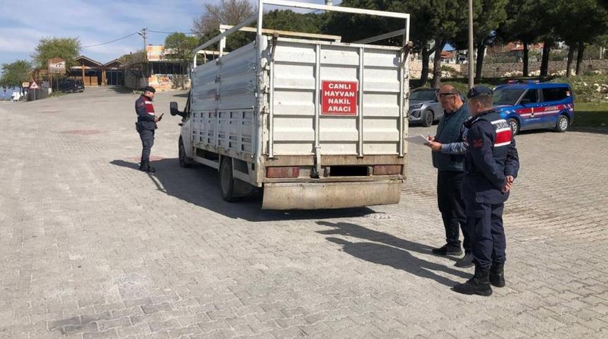 Canlı hayvan taşıyan araçlar denetlendi