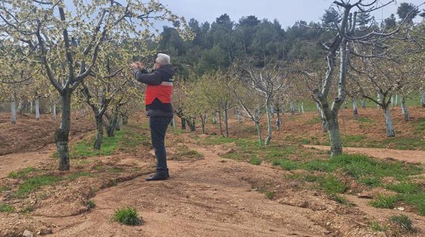 Zirai don hasar tespit çalışmaları Kütahya'da devam ediyor