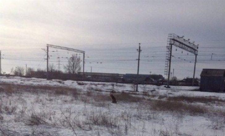 İki hafta boyunca kuyuda mahsur kaldı G2