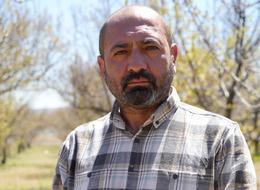 22 yıldır bir ilk! Kayısı ve ceviz bahçelerini Nisa kışı vurdu