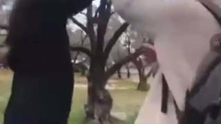 Arkadaşını darbeden öğrenci adli kontrolle serbest