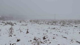 Diyadin’de nisan ayında kar yağışı etkili oldu