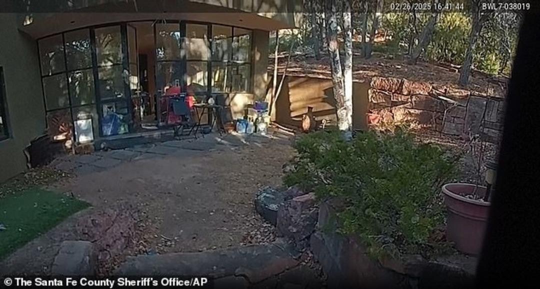 Gene Hackman ve eşi 4 milyon dolarlık evde ölü bulunmuştu! Malikaneyle ilgili korkunç gerçek ortaya çıktı! İstila edip, yuva yapmışlar... 3