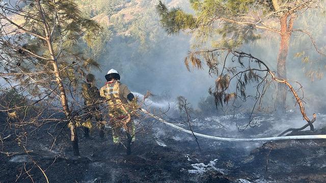 Hatay’da orman yangını! İsmet İnönü Mahallesi’nde çıkan yangın büyümeden kontrol altına alındı