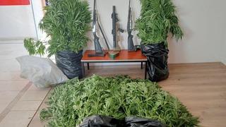 Gizli kenevir bahçesi kuran şüpheli tutuklandı