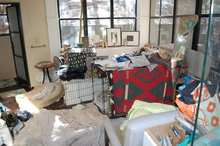 Ünlü oyuncu ve eşi ölü bulunmuşlardı! Gene Hackman'ın evinin içinden korkunç görüntüler yayınlandı! Köpeği cesedin yanında bekliyor... G3