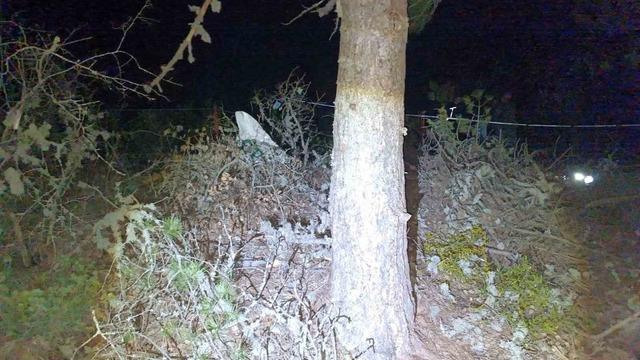 Hisarcık’ta ağaçtan düşen yaşlı adam hayatını kaybetti