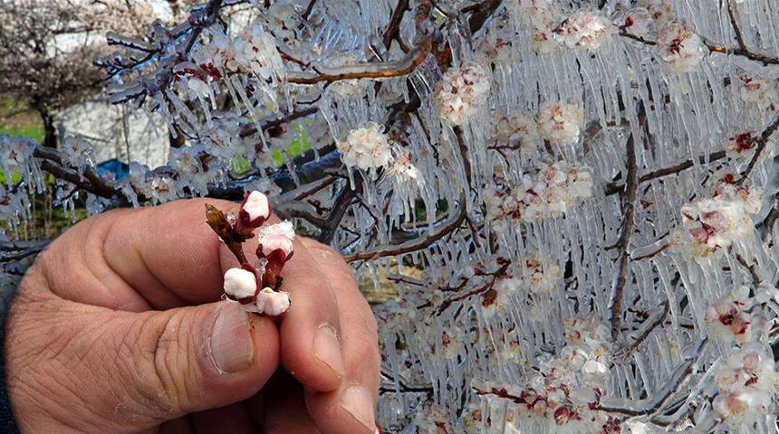 Güneş açtı ancak tehlike geçmedi! Uyarılar peş peşe geldi: Sis, pus, don, çığ... 