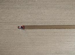 TÜİK: Tarım ürünleri üretici fiyatları martta arttı