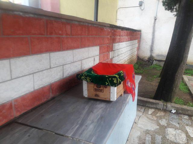 Acılı baba en ağır yükü taşıdı
