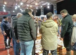 Av yasağı başladı! Küçük teknelerin getirdiği balıklar mezatta satıldı