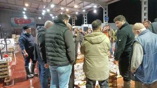 Av yasağı başladı! Küçük teknelerin getirdiği balıklar mezatta satıldı