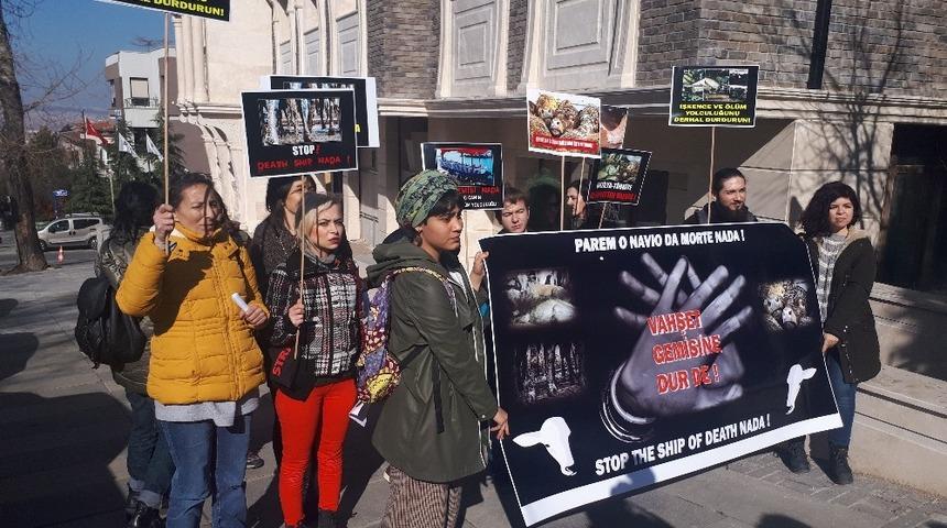 Brezilya&rsquo;dan T&uuml;rkiye&rsquo;ye sağlıksız şekilde getirildiği iddia edilen hayvan ithaline tepki