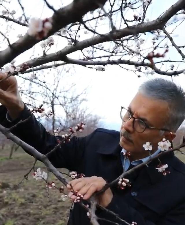 Malatya’da yakın tarihin en şiddetli zirai donu yaşandı
