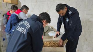 Şanlıurfa'da 11 ton kurtlanmış ceviz içi ele geçirildi