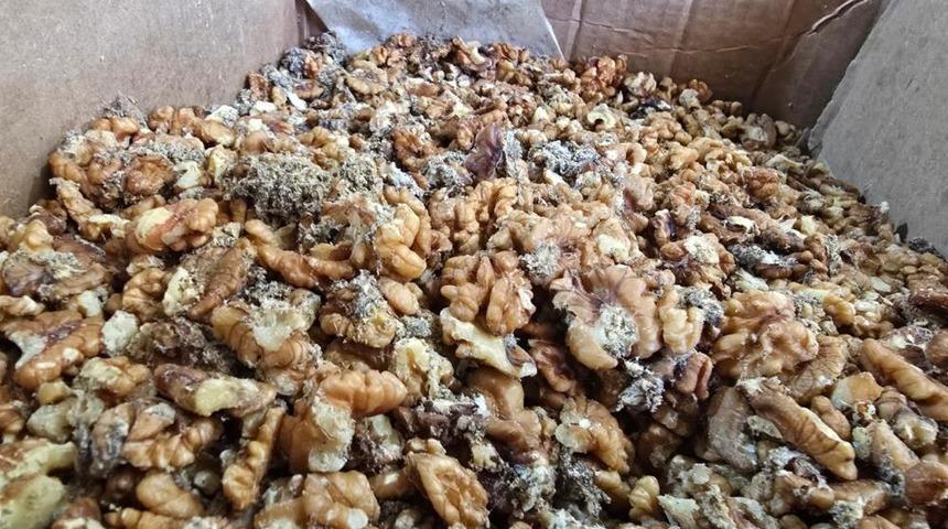 Tam 11 ton! Küflenmiş ve kurtlanmış cevizleri vatandaşa yedireceklerdi: O markanın ismi açıklandı