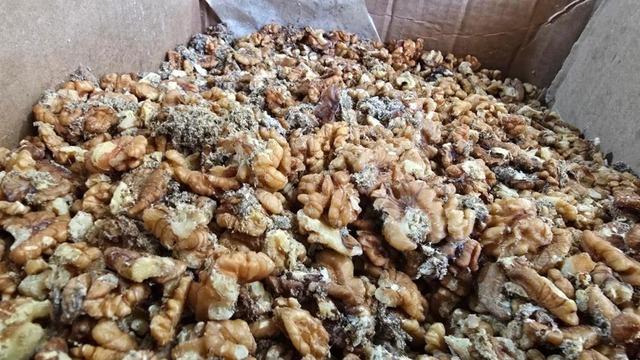Tam 11 ton! Küflenmiş ve kurtlanmış cevizleri vatandaşa yedireceklerdi: O markanın ismi açıklandı