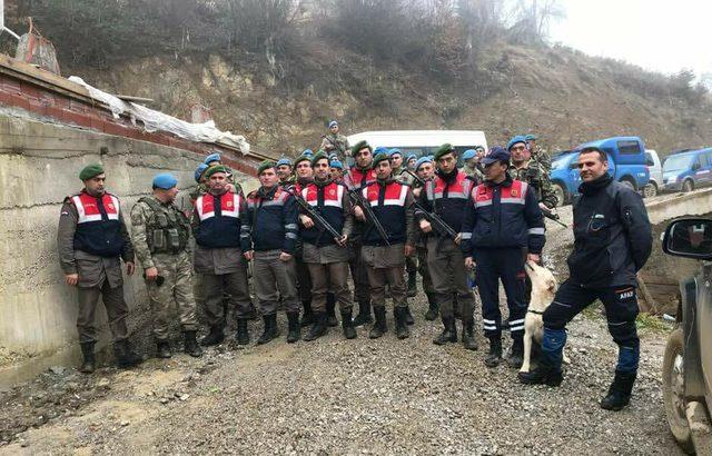 Odun toplarken kaybolan yaşlı kadın, 24 saat sonra evine döndü