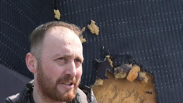 Bu otomobil sahibinin farelerle başı dertte! Kullandığı aracı kemirip, tuzak dinlemiyorlar... Bu hayvan nasıl çıkar?