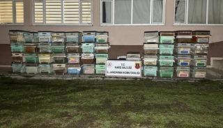 Kağızman’da arı kovanı hırsızları yakalandı