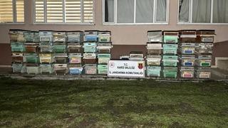 Kağızman’da arı kovanı hırsızları yakalandı