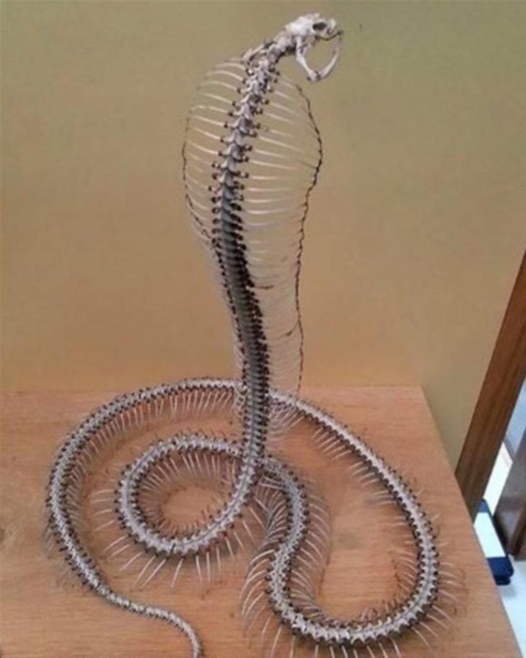 G&ouml;renler g&ouml;zlerine inanamadı