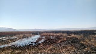 Milli parkta çıkan yangın neredeyse bir günde söndürüldü!
