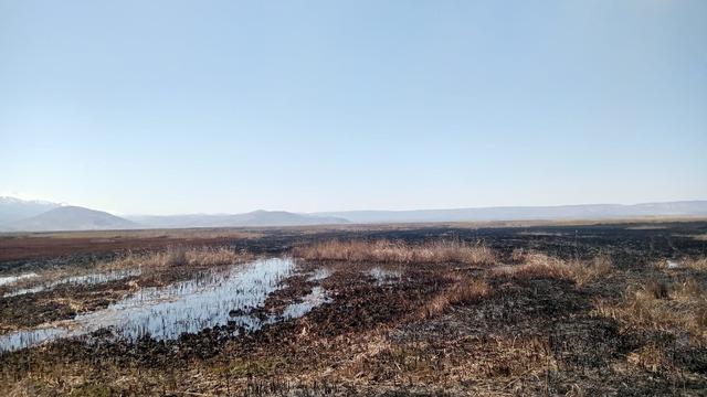 Milli parkta çıkan yangın neredeyse bir günde söndürüldü!