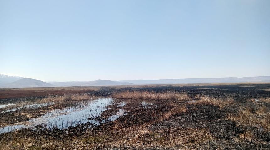 Milli parkta çıkan yangın neredeyse bir günde söndürüldü!