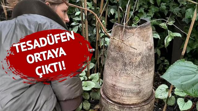 Unutulan saksı rekor fiyata satıldı! Yıllar sonra torunları keşfedince ortaya çıktı!