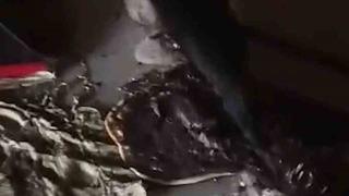 Okulda yangın paniği: Aşırı yüklenen üçlü priz tehlike saçtı