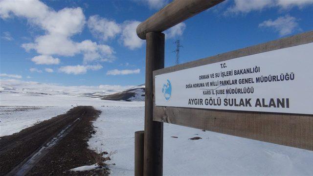 Efsanevi Aygır Gölü turizme kazandırılacak