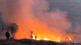 Antalya'da muz bahçesinde yangın