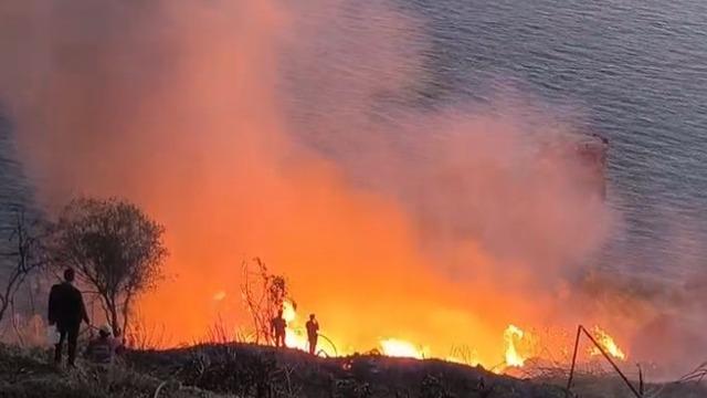 Antalya'da muz bahçesinde yangın