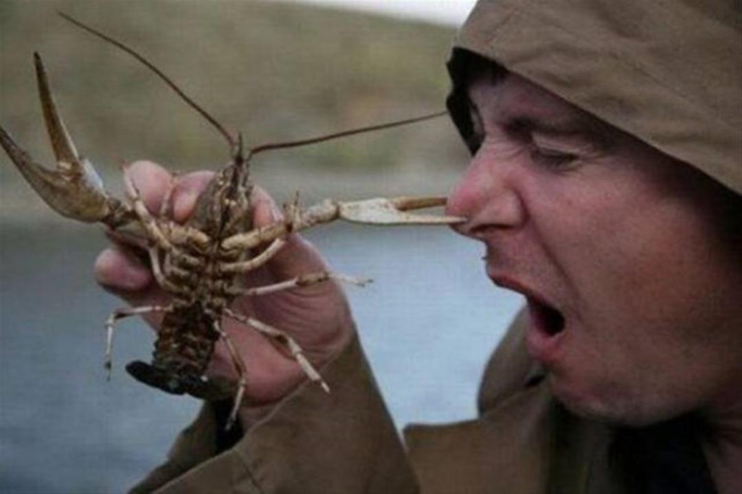 Erkekler &ccedil;ıldırmış olmalı