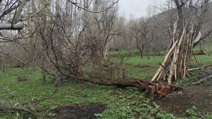 O ilde felaket günü! Üzücü tablosu ortaya çıktı: 50'den fazla evin çatısı uçmuş! Ağaçlar devrildi, tahtalar havada uçuştu G5