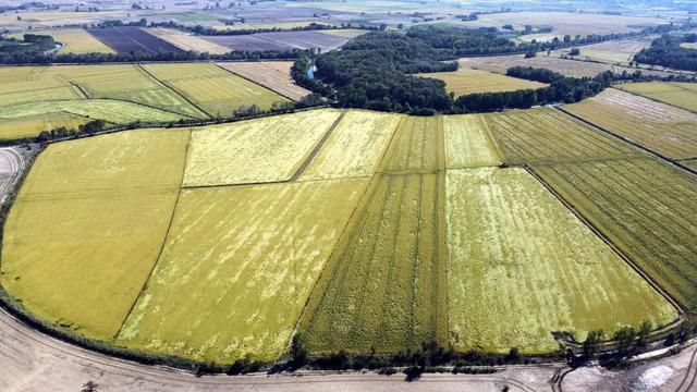 Tunca Nehri'nde hummalı çalışma