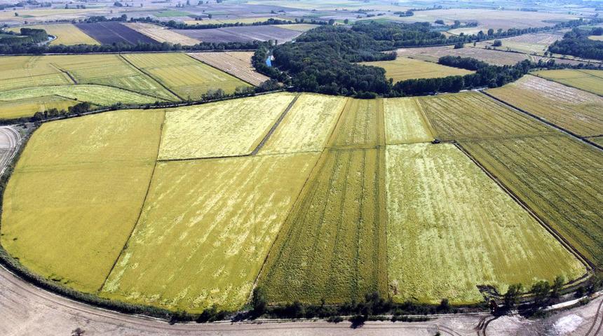 Tunca Nehri'nde hummalı çalışma