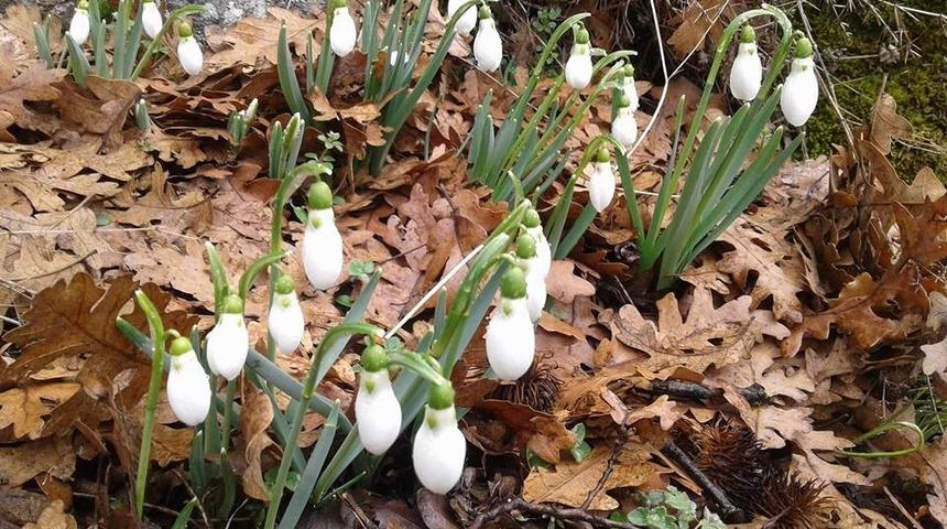 AFDOS ve AFFD &uuml;yeleri Kadınana Su Yolunda birlikte y&uuml;r&uuml;d&uuml;