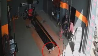 İş yeri sahibine korku dolu anlar yaşattı...