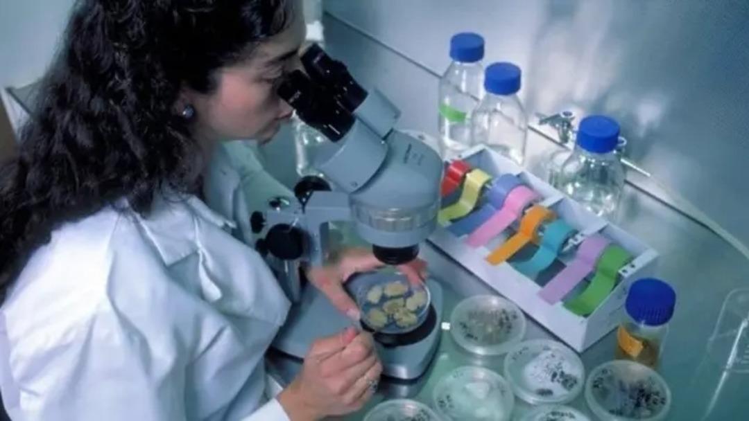 Bilim insanları sıra dışı bir madde keşfetti! Fizik kurallarına meydan okuyor! Isıtılınca küçülüyor... 2