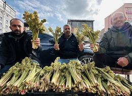 Yüzlerce kişinin ekmek parası! Rekoltesi az olunca 100 liradan satıyorlar...