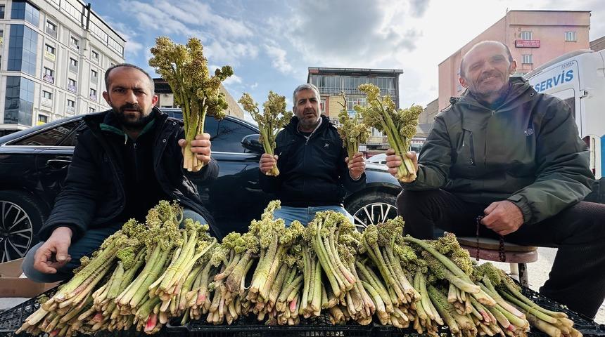 Yüzlerce kişinin ekmek parası! Rekoltesi az olunca 100 liradan satıyorlar...