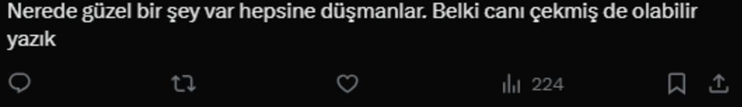 Ekran görüntüsü 2025-04-18 160303