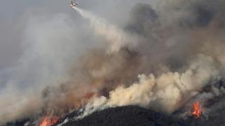 Güney Kore'de orman yangınlarında büyük zarar