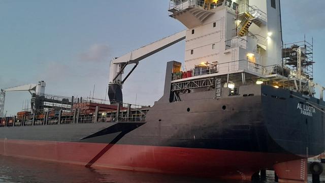 Yalova'da balast suyunu denize döktü! Kuru yük gemisine para cezası