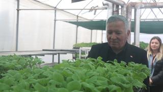 Ata mirası tohumlar milyonlarca fideye dönüştü