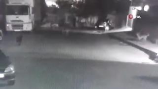 Esenyurt’ta başıboş köpekler sokakta yürüyen adama saldırdı